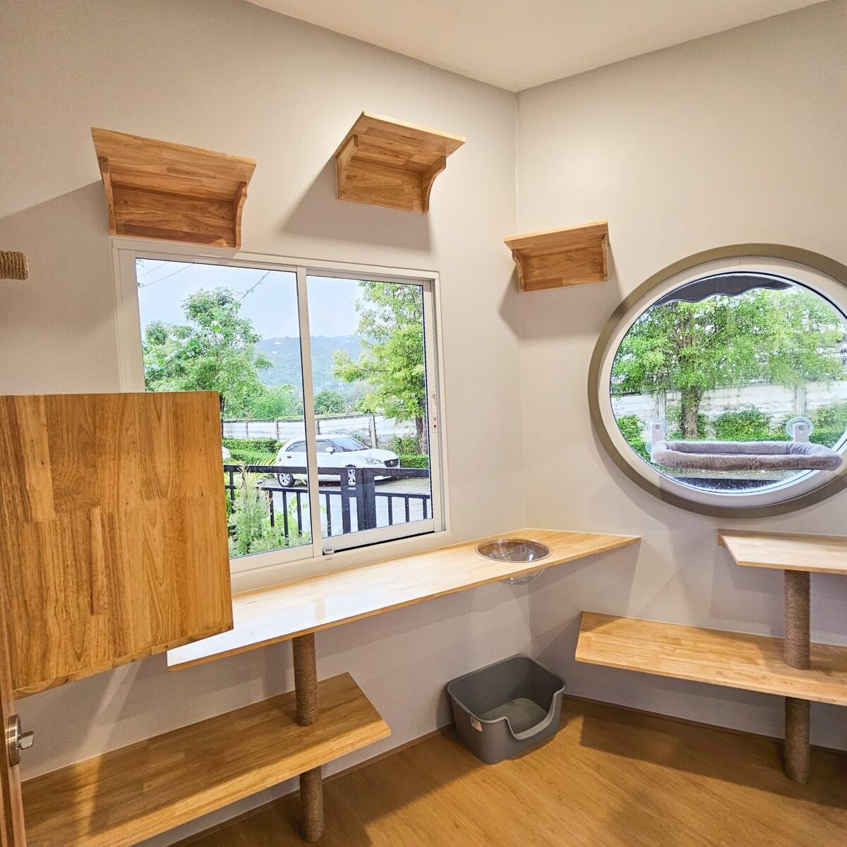 บรรยากาศห้อง VIP ของ Cat Corner Cat Hotel Phuket กว้างมีหน้าต่างมองวิวภายนอก