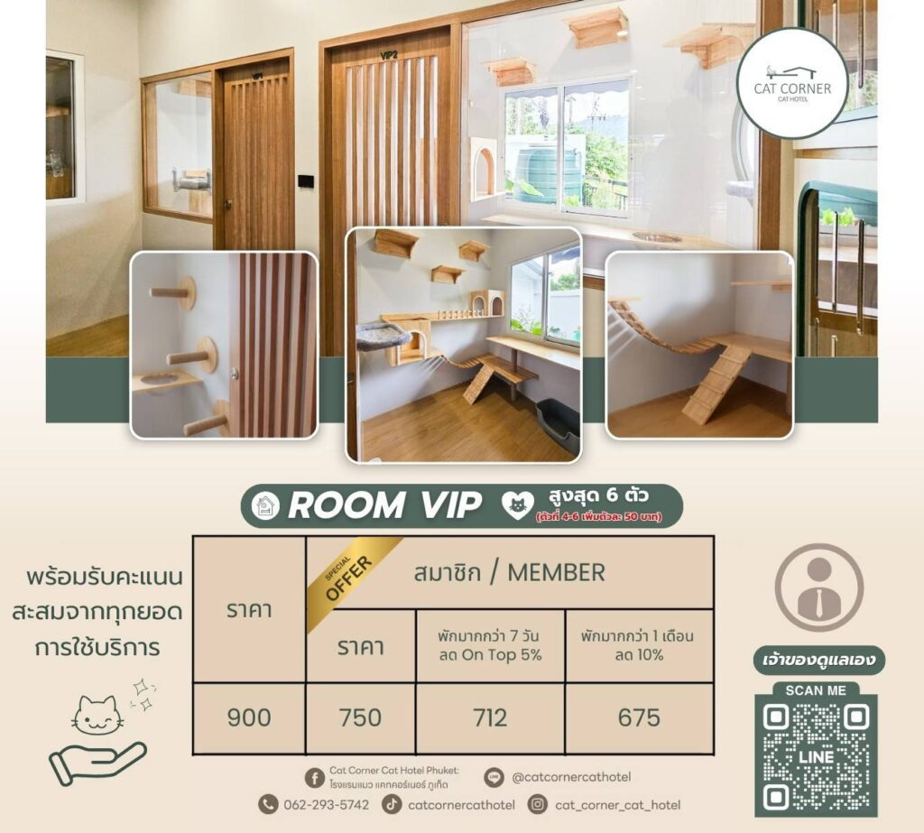 ตารางราคาห้องแบบ VIP โรงแรมแมว แคทคอร์เนอร์ ภูเก็ต