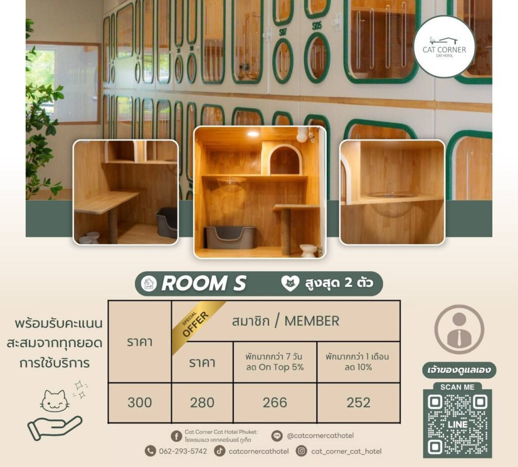 ตารางราคาห้องแบบ S โรงแรมแมว แคทคอร์เนอร์ ภูเก็ต