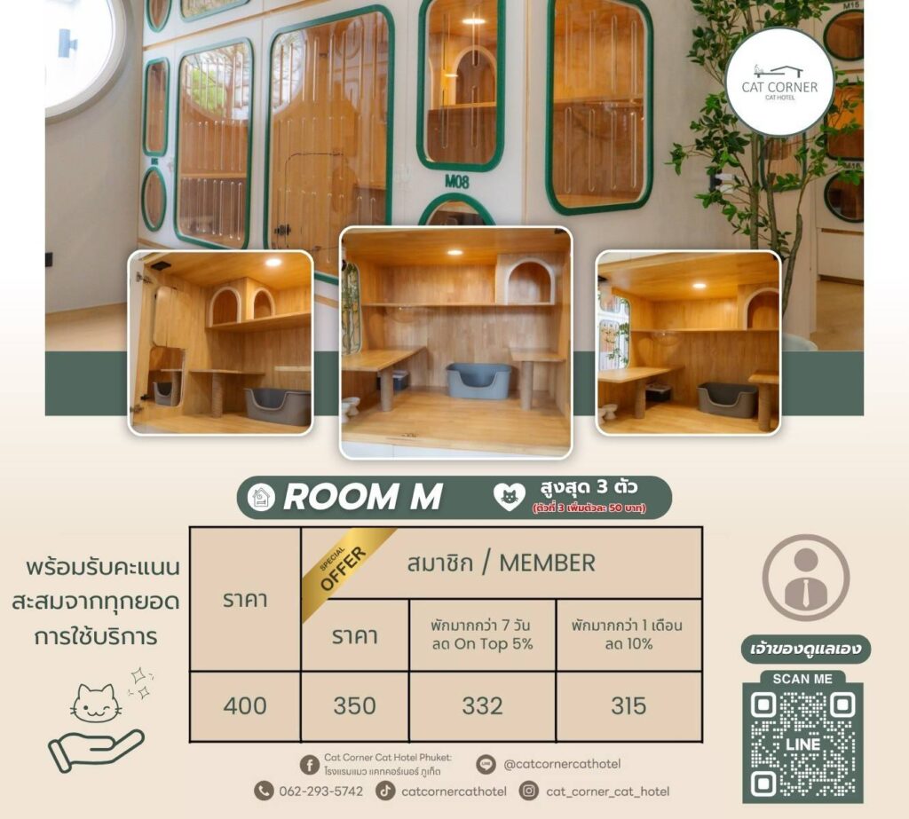 ตารางราคาห้องแบบ M โรงแรมแมว แคทคอร์เนอร์ ภูเก็ต
