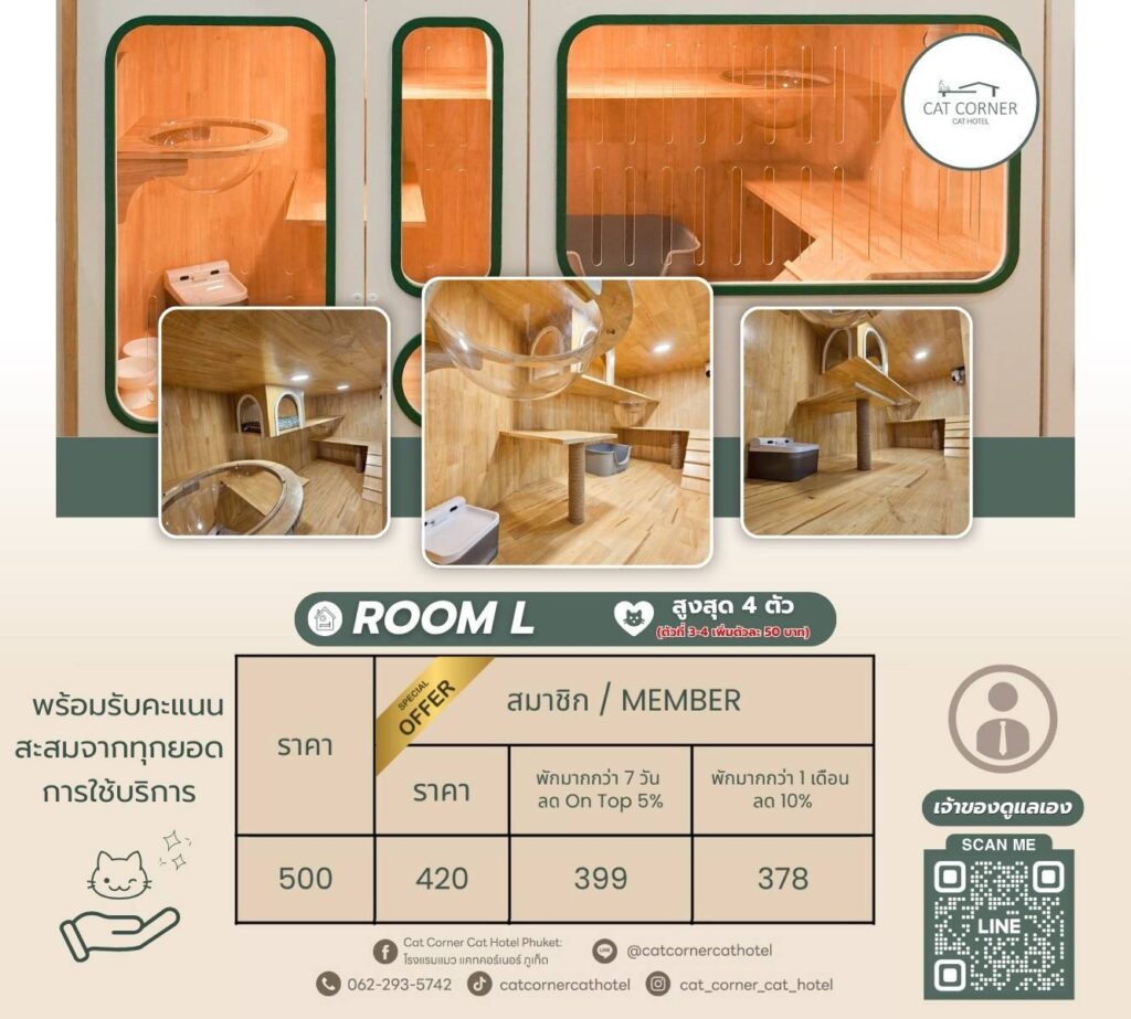 ตารางราคาห้องแบบ L โรงแรมแมว แคทคอร์เนอร์ ภูเก็ต