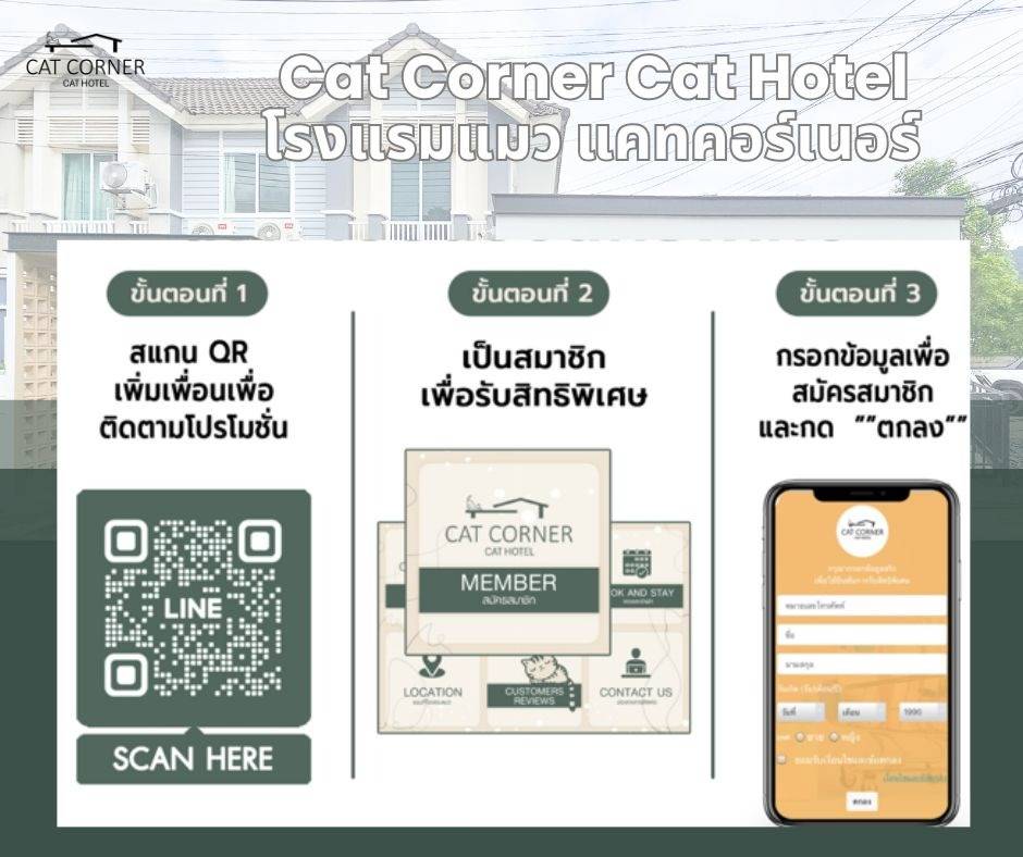 Member Cat Corner Cat Hotel Phuket