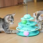 2 Cats playing toy in common area of Cat Corner Cat Hotel Phuket