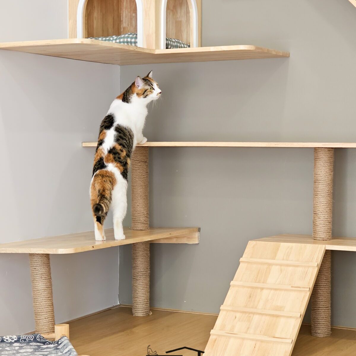 พื้นที่แมวเล่นพร้อมที่ปีนและของเล่นหลากหลายที่ Cat Corner Cat Hotel Phuket