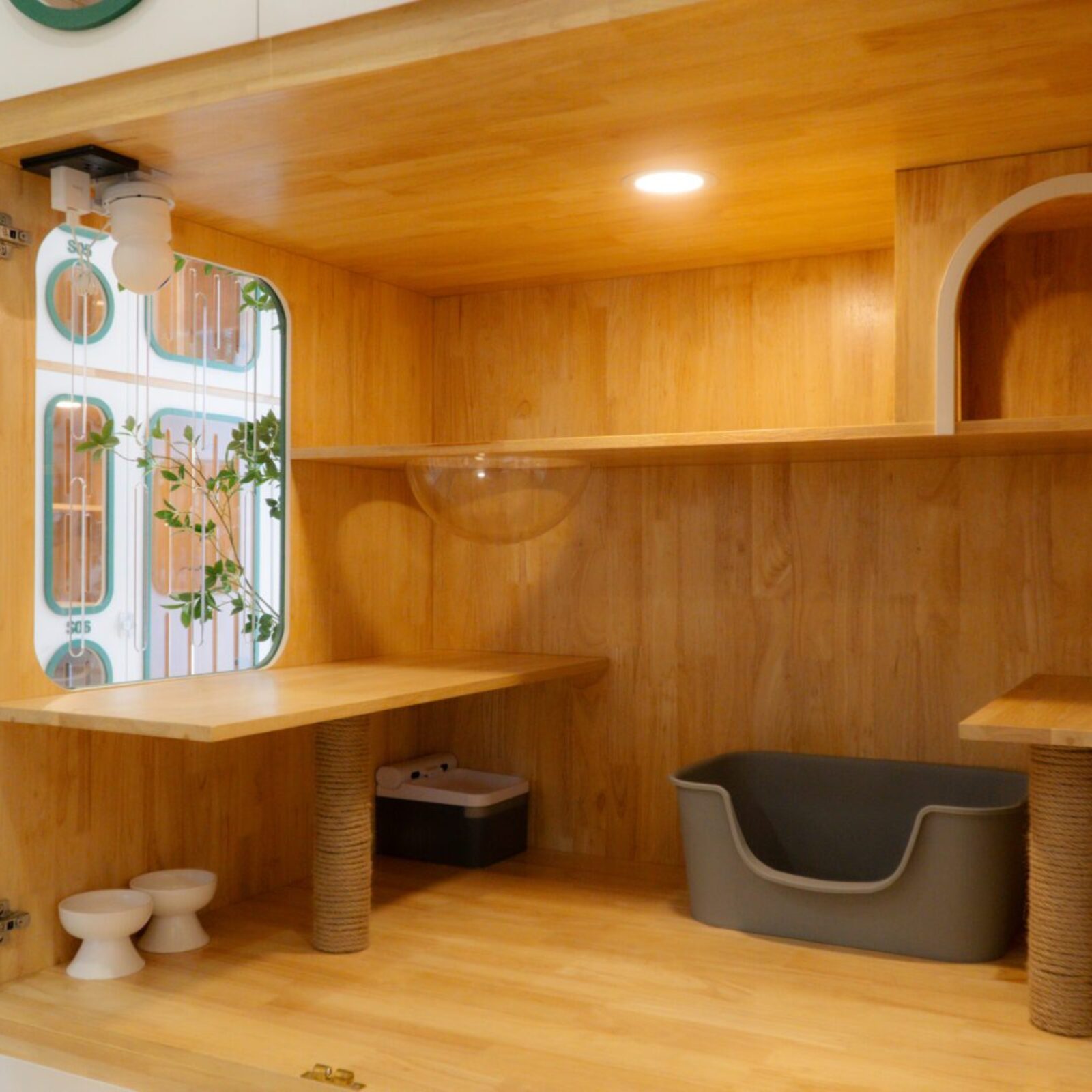 ภาพห้องขนาด M ที่่ Cat Corner Cat Hotel Phuket