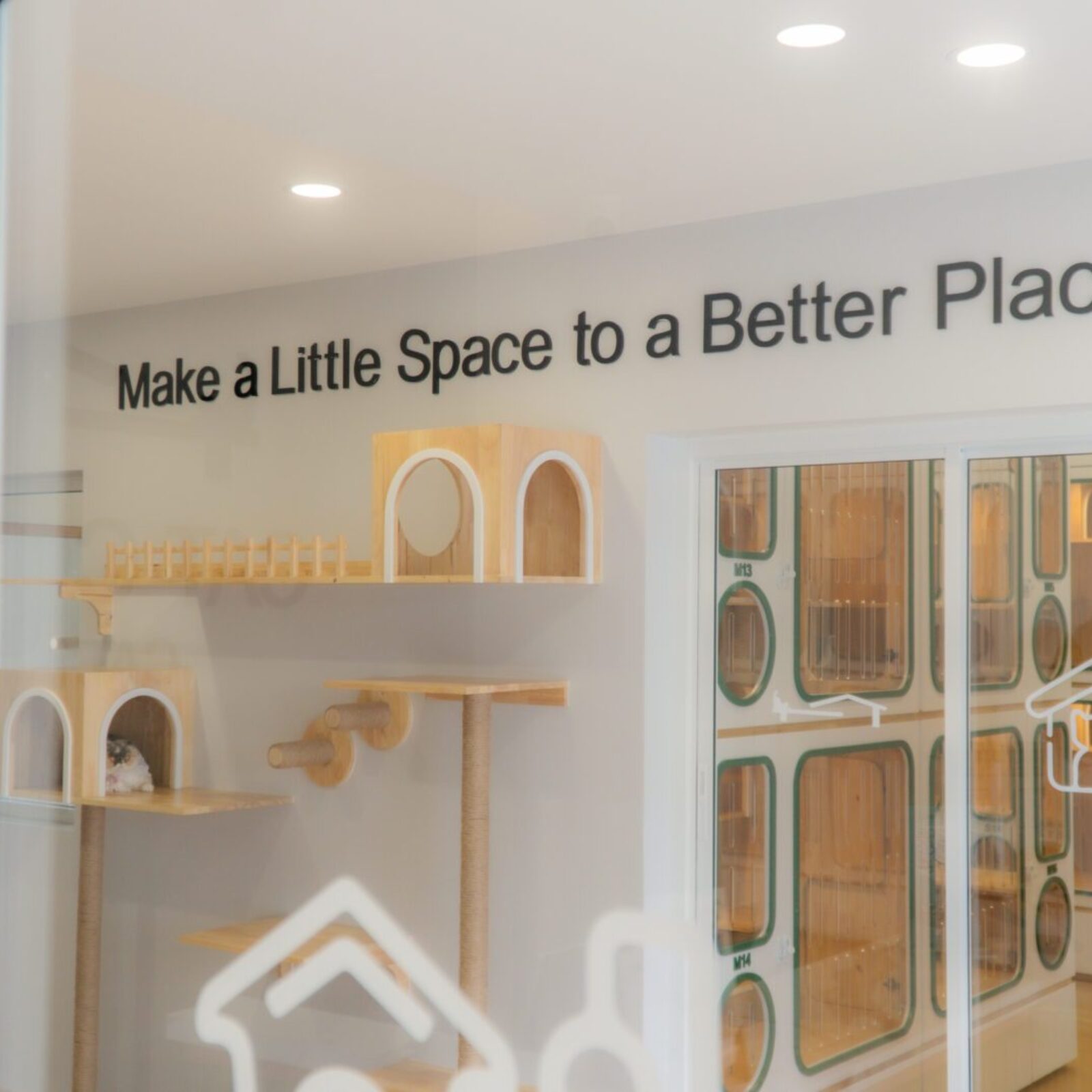 ภาพบรรยากาศห้องส่วนกลางสำหรับพาแมวมาเล่น Cat Corner Cat Hotel Phuket