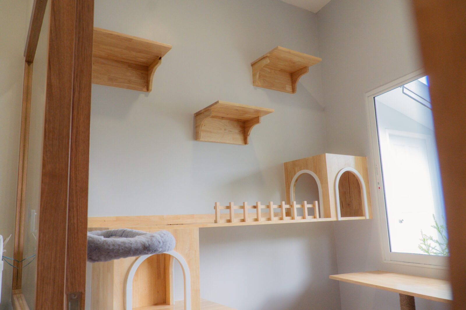 พื้นที่แมวเล่นพร้อมที่ปีนและของเล่นหลากหลาย ในห้อง VIP Cat Corner Cat Hotel Phuket