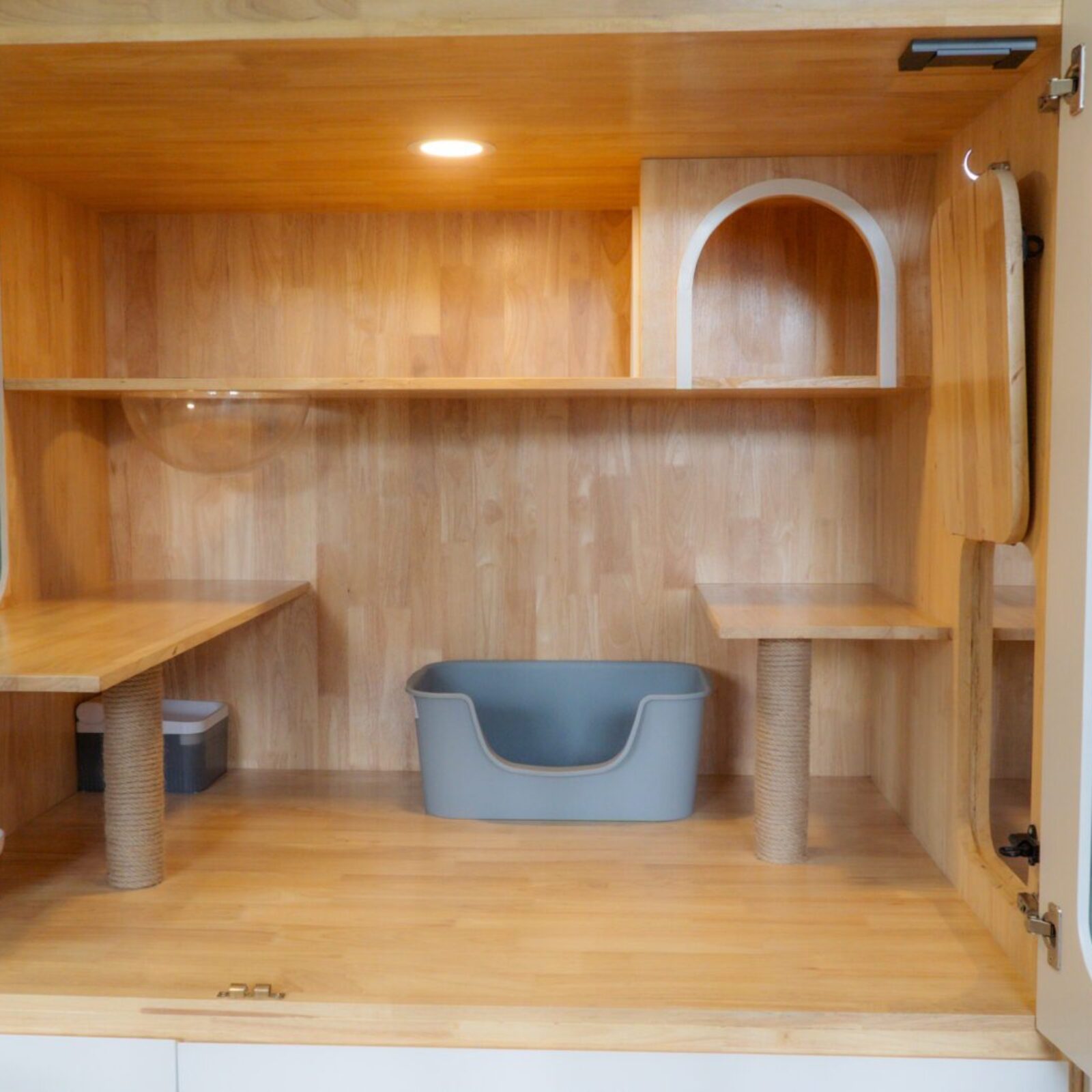 โรงแรมแมว Cat Corner Cat Hotel Phuket ห้องพักโปร่งโล่ง