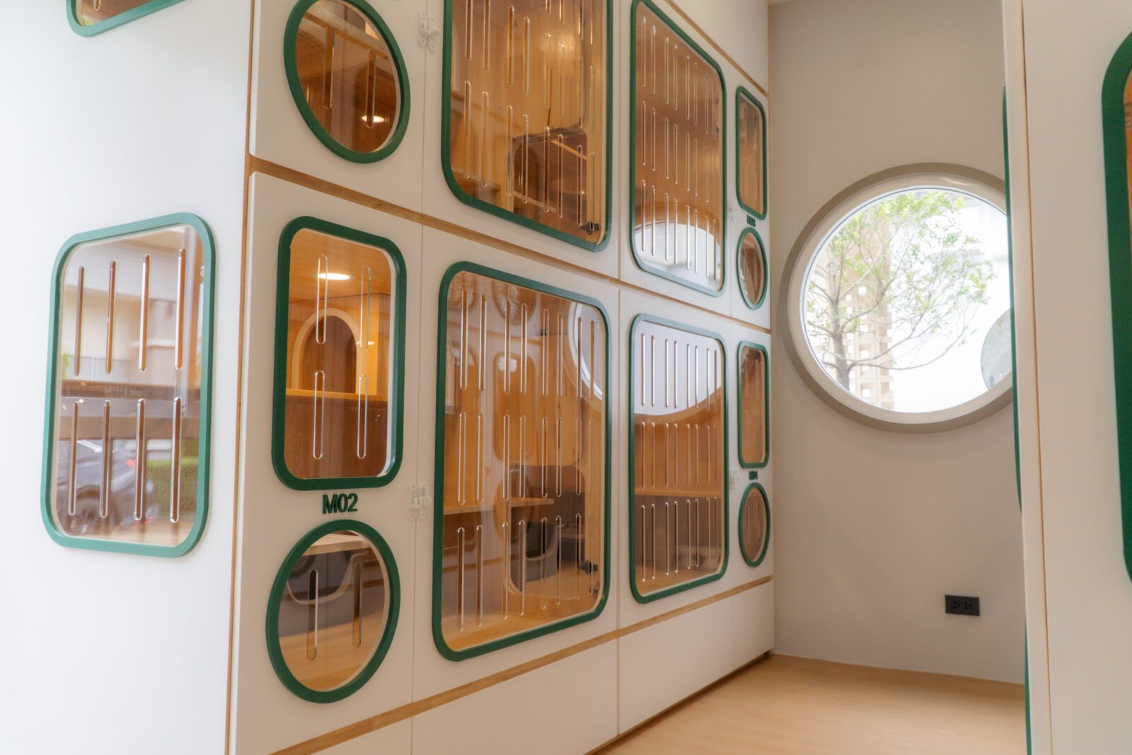 ห้องพักขนาด M สามารถมองวิวภายนอกได้ที่Cat Corner Cat Hotel Phuket