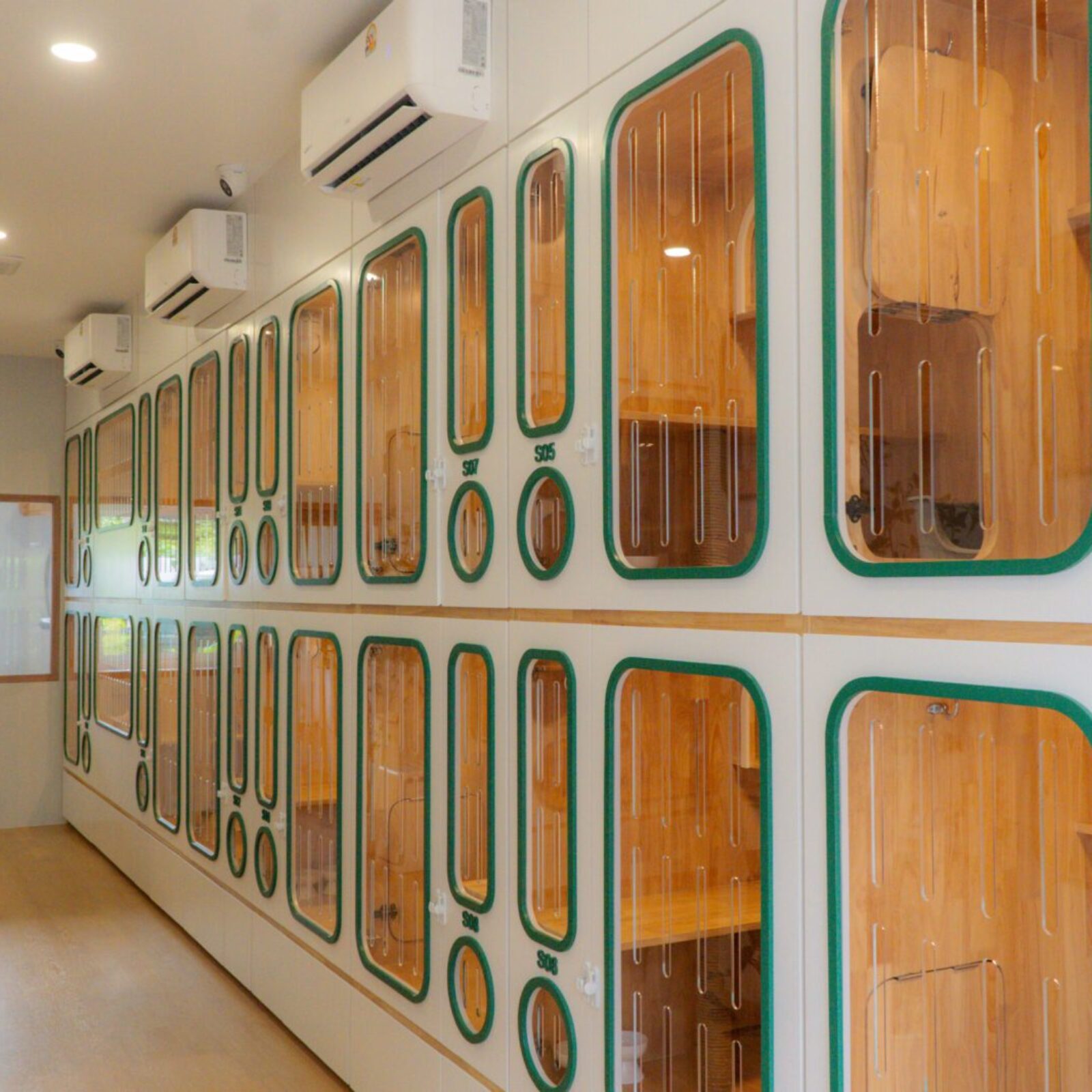 บรรยากาศภายในโซนโรงแรม มีห้องให้เลือกหลายขนาด กว้างขวาง เปิดแอร์ตลอด ที่ Cat Hotel Phuket