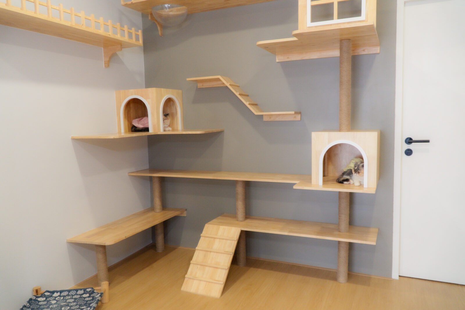พื้นที่ส่วนกลางสำหรับแมววิ่งเล่นในโรงแรม Cat Corner Cat Hotel Phuket