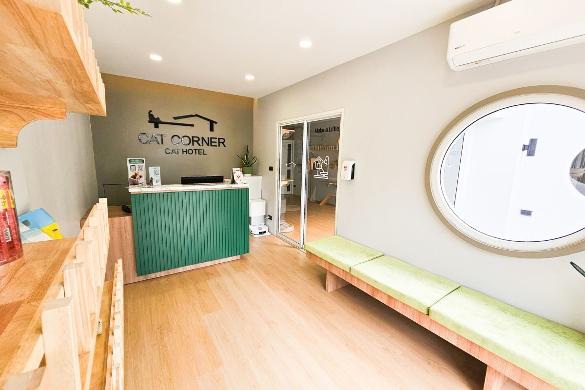 บริเวณต้อนรับโรงแรมแมวภูเก็ต Cat Corner Cat Hotel Phuket บริเวณต้อนรับโรงแรมแมวภูเก็ต Cat Corner Cat Hotel Phuket