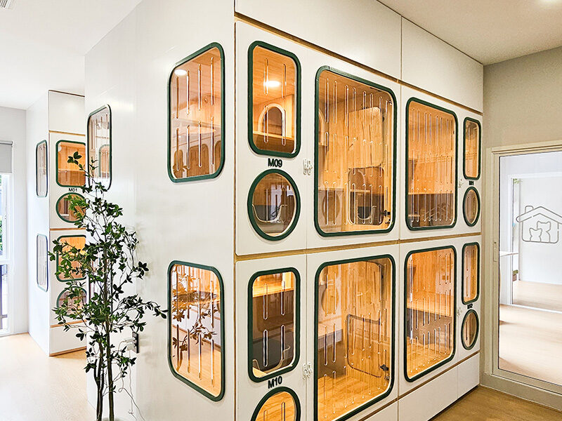 ห้องพักแบบ M กว้างขวาง สะอาด ที่โรงแรมแมว Cat Corner Cat Hotel Phuket