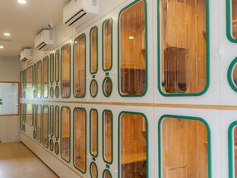 ห้องพักแบบ S กว้างขวาง สะอาด ที่โรงแรมแมว Cat Corner Cat Hotel Phuket