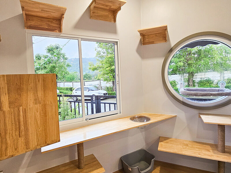 ห้องพักแบบ VIP กว้างขวาง สะอาด ที่โรงแรมแมว Cat Corner Cat Hotel Phuket มีกระจกให้ดูวิว