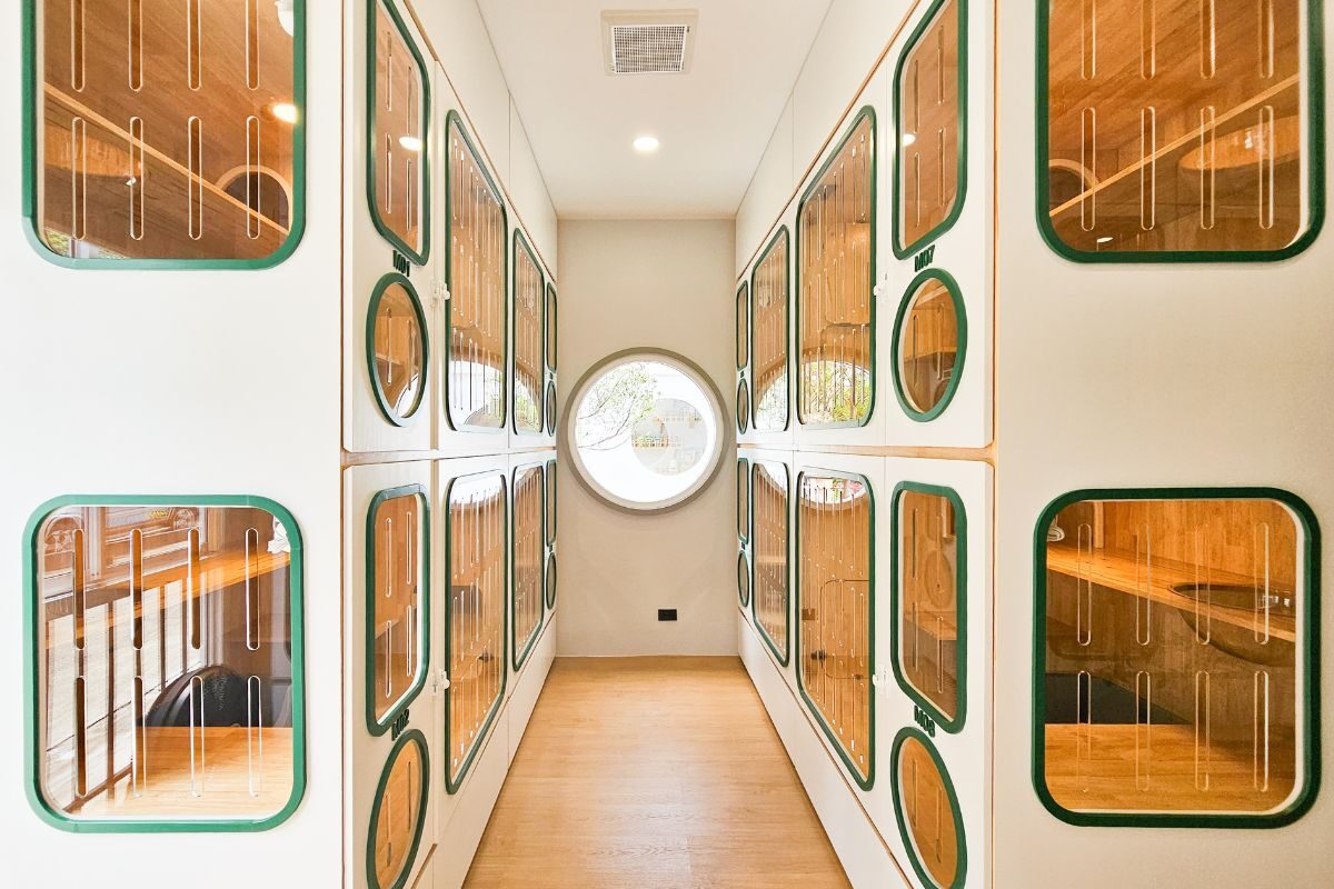 ทางเดินใน Cat Corner Cat Hotel Phuket ทางเดินใน Cat Corner Cat Hotel Phuket