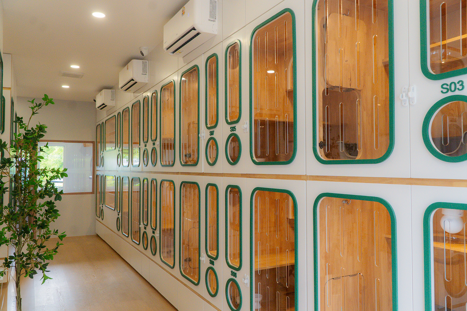 โซนทางเดินของโรงแรมแมว Cat Corner Cat Hotel Phuket