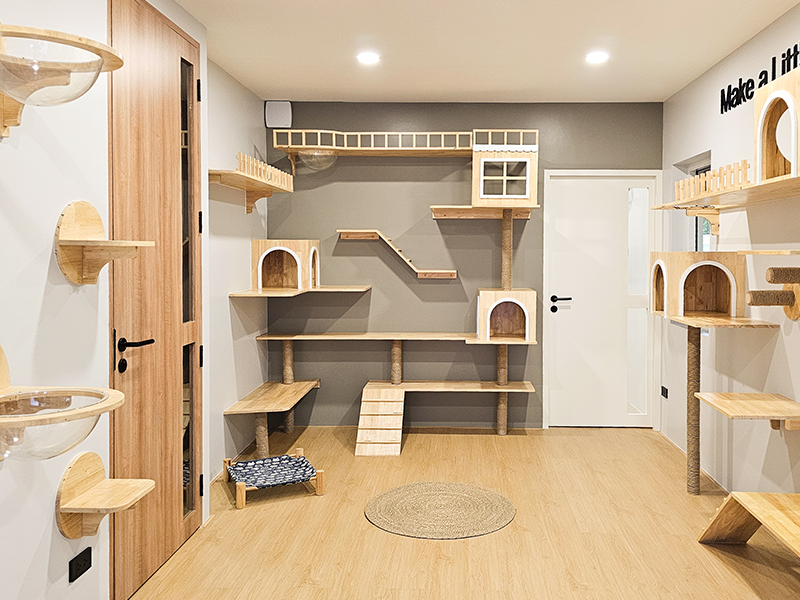 พื้นที่ส่วนกลางสำหรับน้องแมววิ่งเล่น กว้างขาง ที่ Cat Corner Cat Hotel Phuket